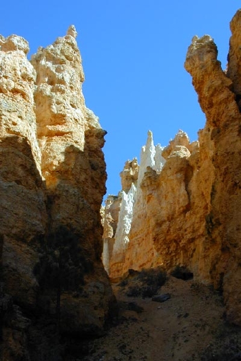 White and Gold Gulch